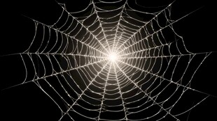 夜光下的精致蜘蛛网