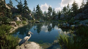 湖畔鹭影 自然静谧风光