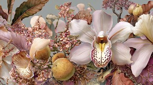 梦幻兰科花卉艺术插画