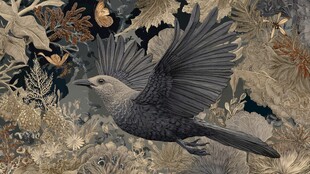 飞鸟穿梭于繁茂植物间