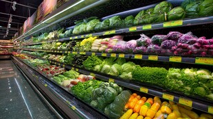 超市内丰富多样的蔬菜陈列