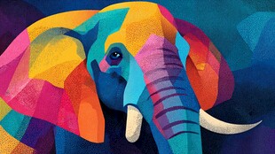 多彩几何大象艺术插画