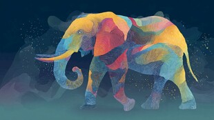 彩色梦幻风大象艺术插画