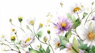 水彩花卉 清新烂漫的绽放