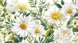 雏菊花卉水彩图案背景