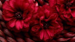 深红花朵置于编织物上