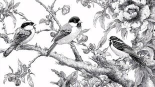 枝头三鸟栖于繁花间