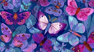 梦幻多彩蝴蝶花卉图案