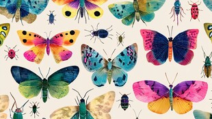 多彩昆虫图案插画