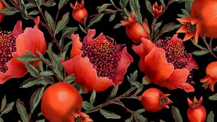 石榴花卉图案 热烈又明艳