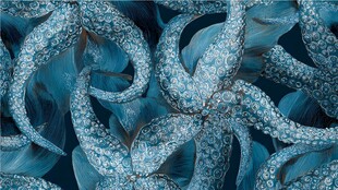 梦幻蓝调海星艺术图案