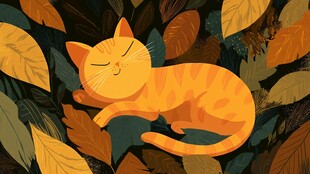 橘猫在秋叶中惬意沉睡