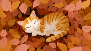 橘猫在秋叶中惬意安睡