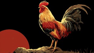 破晓雄鸡立 红日映风华