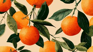 橘果绿叶的清新图案