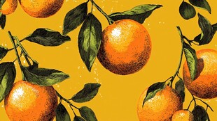 手绘橘果绿叶图案背景