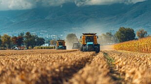 金色田野中的农业机械作业