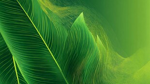 翠绿叶片的梦幻光影世界