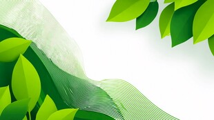 清新绿叶背景纹理图