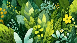 清新手绘风的繁茂绿植花卉