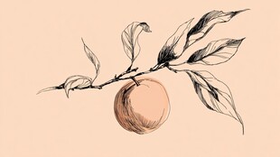 手绘枝头蜜桃与绿叶