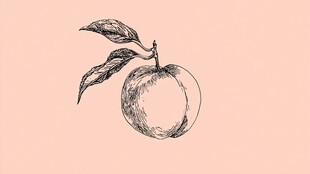 手绘桃子插画 清新简约风