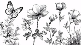 花卉蝴蝶手绘黑白插画
