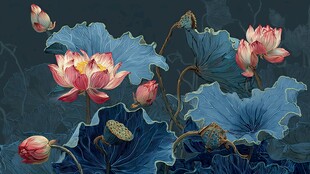 水墨风荷花绽放之美