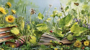 书间花草景 自然诗意浓