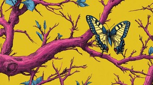 紫枝上的斑斓蝴蝶