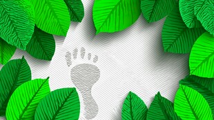 绿叶环绕的清晰脚印