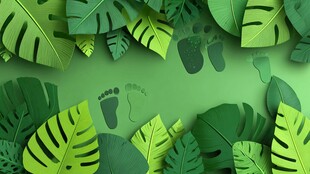 绿叶间的足迹 自然清新风