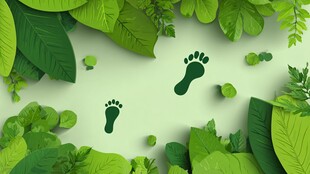 绿叶间的可爱小脚印