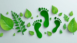 绿色足迹与生机叶片