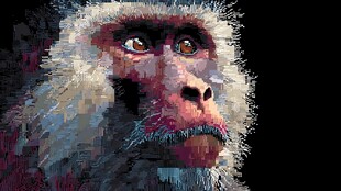 像素风猴子头部特写