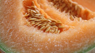 切开的香甜哈密瓜果肉