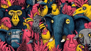 缤纷动物大集合