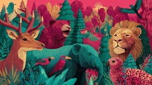 奇幻森林中的动物大聚会