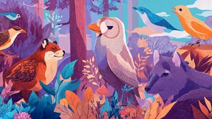 森林中的动物和谐共栖