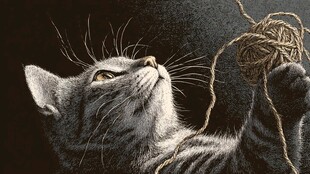 猫咪玩线团的可爱瞬间