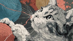 猫咪玩毛线的温馨瞬间