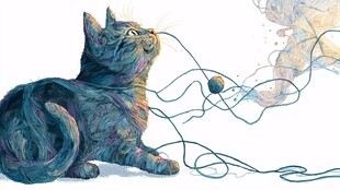 猫咪玩线团的多彩瞬间