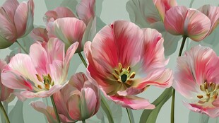 粉色郁金香花卉艺术插画