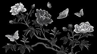 黑白牡丹蝴蝶图