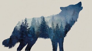 狼影森林 梦幻自然融合图景