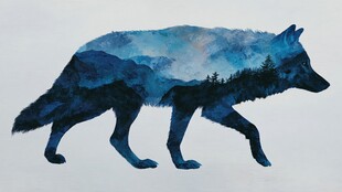 梦幻蓝狼与山林融合图景