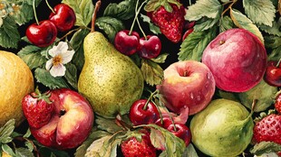 缤纷水果绘 尽显自然之美