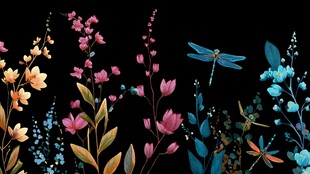 夜下花卉与蜻蜓插画