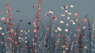 湖畔粉花摇曳蜻蜓飞舞