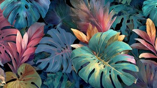 梦幻多彩热带植物叶片